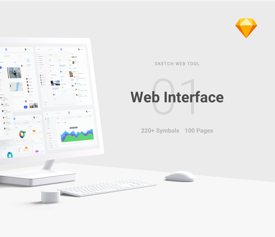 Web Interface 1
